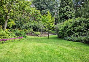 Optimiser l'expérience du jardin à Saint-Pierre-sur-Dropt